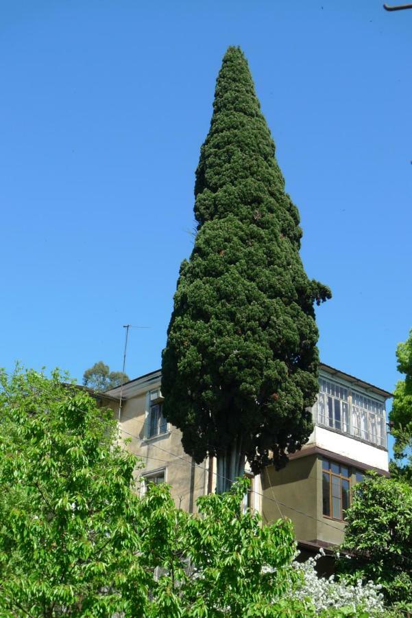 Old Town Guesthouse Sohum Dış mekan fotoğraf