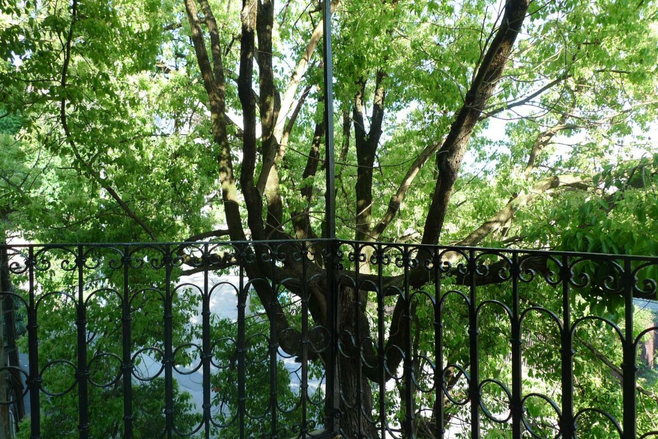 Old Town Guesthouse Sohum Dış mekan fotoğraf